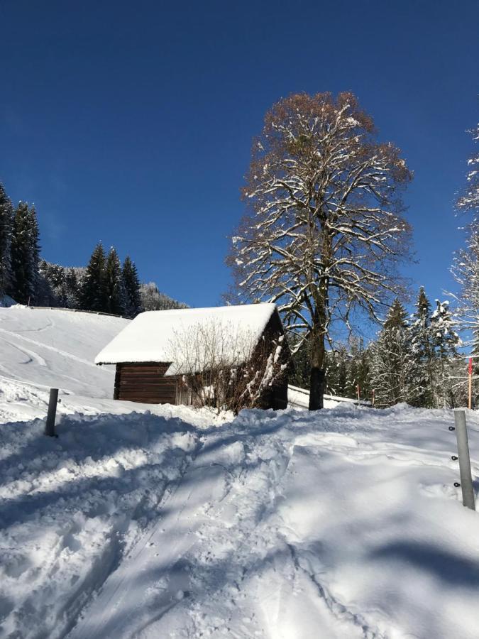 Kaiserblick Goisern Bad Goisern Exterior foto